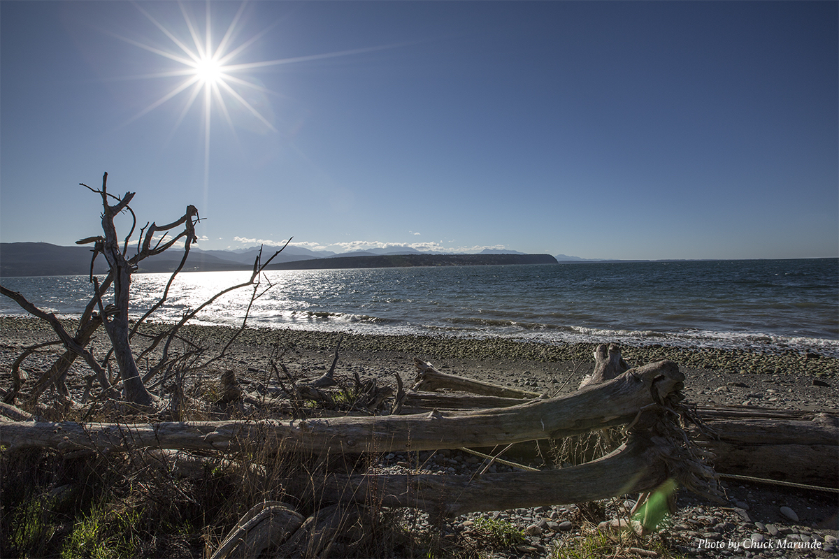 Walking The Sequim Beaches Homes And Land In Sunny Sequim Washington